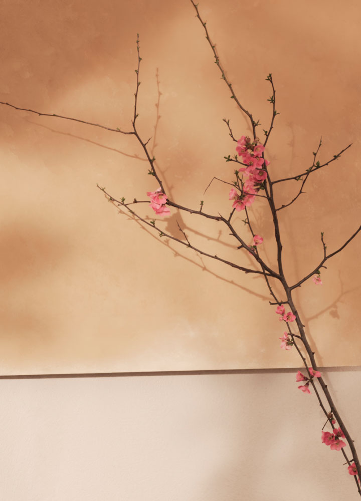 Boffi De Padova Residence